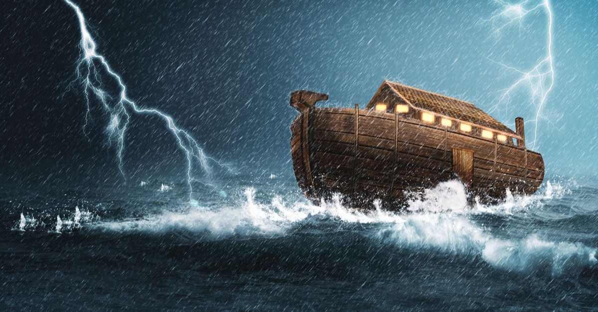 Why Cathie Wood's ARK Investors Aren't Making Much Money