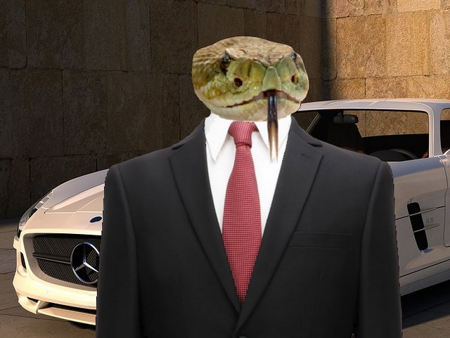 How Snakes In Suits Make Money